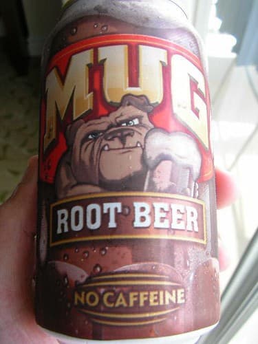 Mug Root Beer Unveils Limited-Edition Float Flavor, But Fans Will Wait Until 2026
