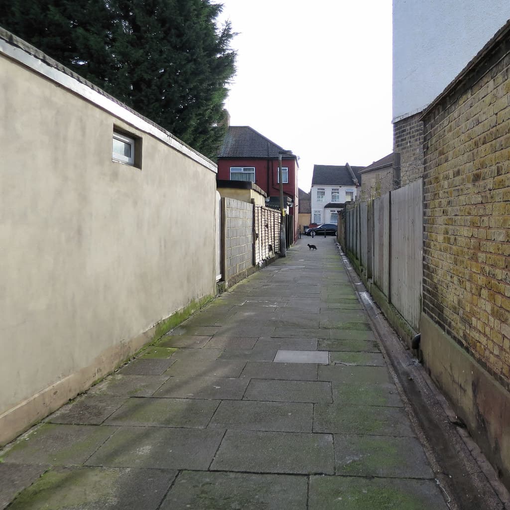 Key visual for Ricky Gervais' adult animated series Alley Cats, featuring feral cats