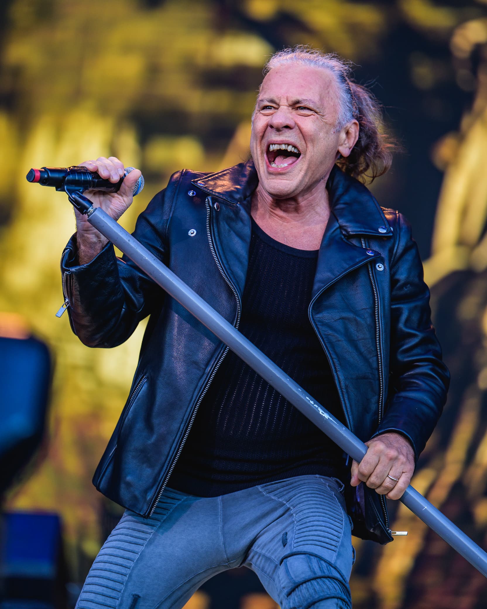 Iron Maiden's Bruce Dickinson Returns to SDCC with 'The Mandrake Project: Year Two'