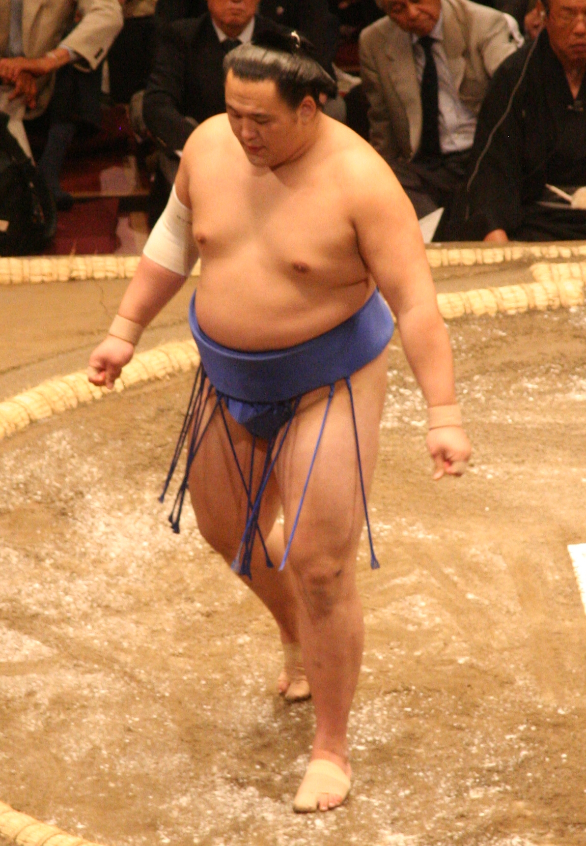 Sumo Stars Enter the Anime Ring: Mongolian Wrestlers Tamawashi & Tamashoho Make VA Debut